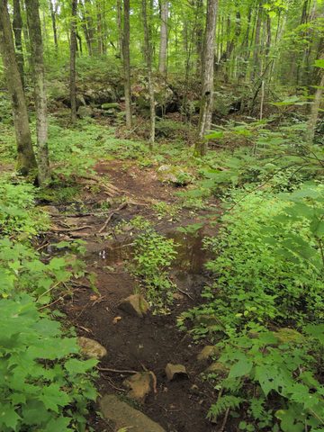 Photo from Trekking with Chev ~ Return to Bon Echo~ A backpacking Adventure