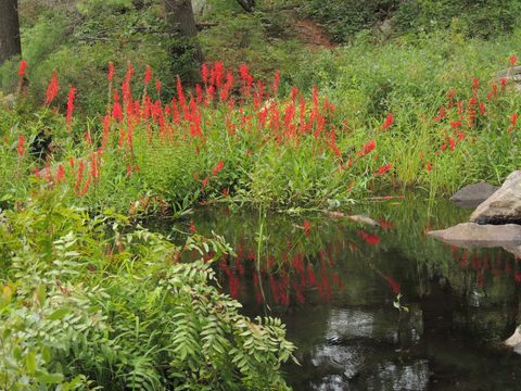Photo from Trekking with Chev ~ Return to Bon Echo~ A backpacking Adventure