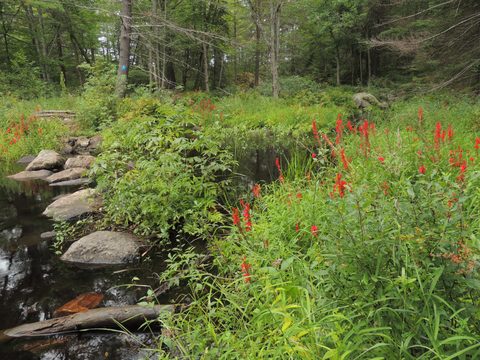 Photo from Trekking with Chev ~ Return to Bon Echo~ A backpacking Adventure