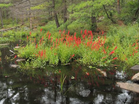 Photo from Trekking with Chev ~ Return to Bon Echo~ A backpacking Adventure