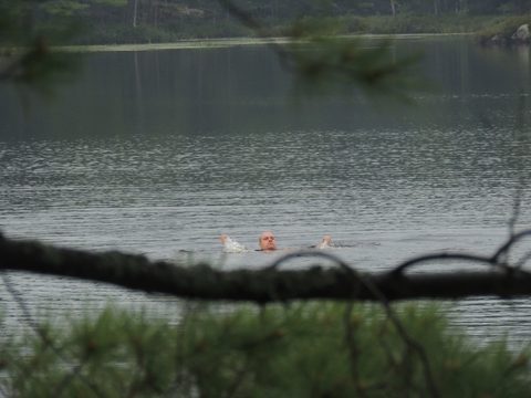 Photo from Trekking with Chev ~ Return to Bon Echo~ A backpacking Adventure