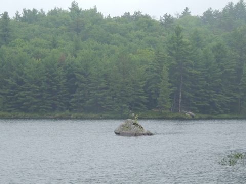 Photo from Trekking with Chev ~ Return to Bon Echo~ A backpacking Adventure