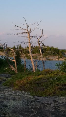 Photo from Kayaking, Lone Tree Island, Georgian Bay