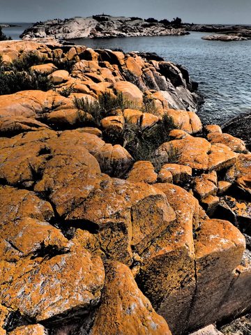 Photo from Kayaking, Franklin, Mink, and McCoy Islands