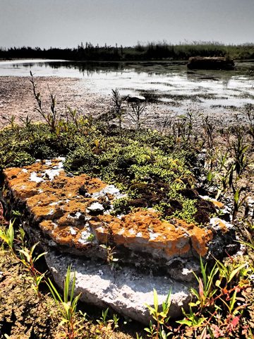 Photo from Kayaking, Franklin, Mink, and McCoy Islands