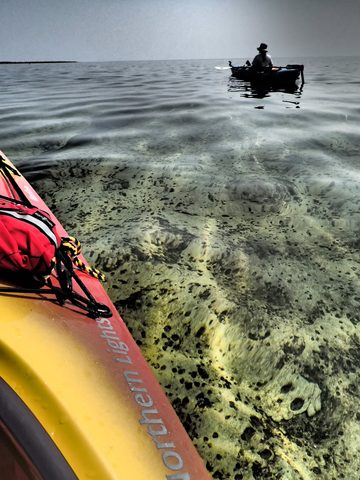 Photo from Kayaking, Franklin, Mink, and McCoy Islands