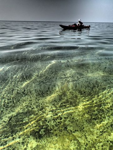 Photo from Kayaking, Franklin, Mink, and McCoy Islands