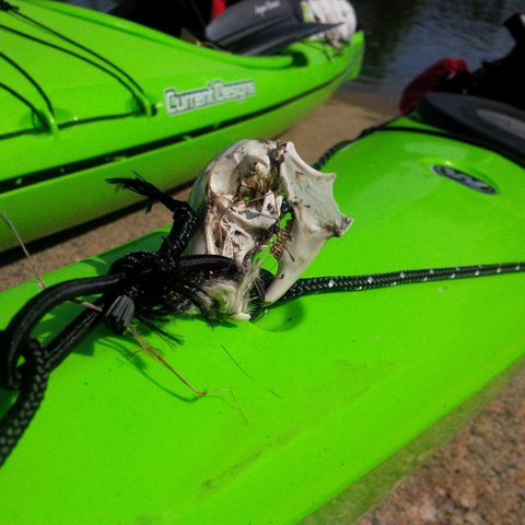 Photo from Kayaking, Franklin, Mink, and McCoy Islands