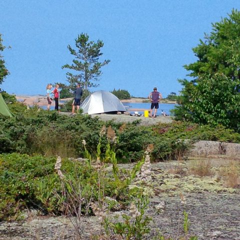 Photo from Kayaking, Franklin, Mink, and McCoy Islands
