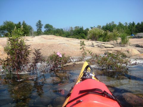 Photo from Kayaking, Franklin, Mink, and McCoy Islands