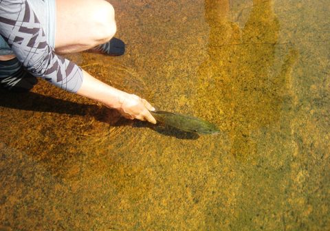Photo from Kayaking, Franklin, Mink, and McCoy Islands