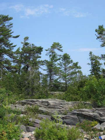 Photo from Kayaking, Franklin, Mink, and McCoy Islands