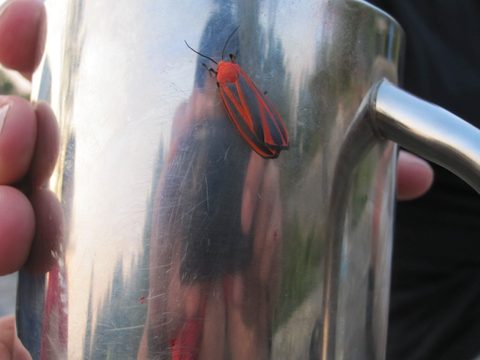 Photo from Kayaking, Franklin, Mink, and McCoy Islands