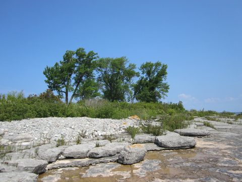 Photo from Kayaking, Franklin, Mink, and McCoy Islands