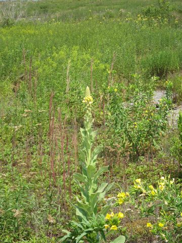 Photo from Kayaking, Franklin, Mink, and McCoy Islands