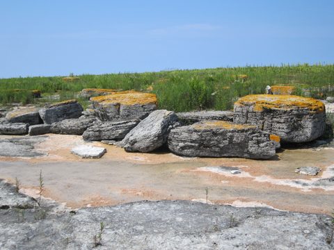 Photo from Kayaking, Franklin, Mink, and McCoy Islands