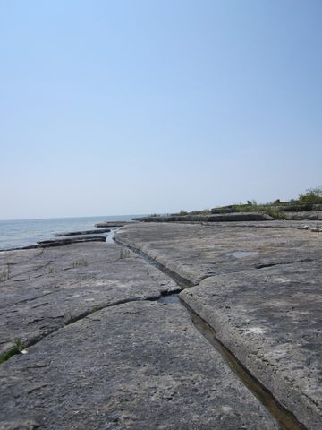 Photo from Kayaking, Franklin, Mink, and McCoy Islands