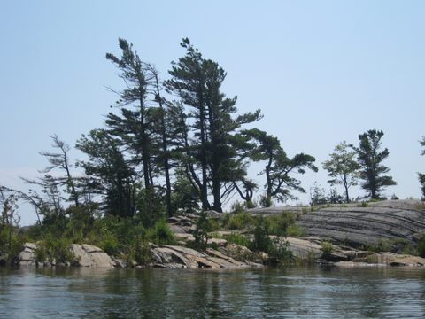 Photo from Kayaking, Franklin, Mink, and McCoy Islands
