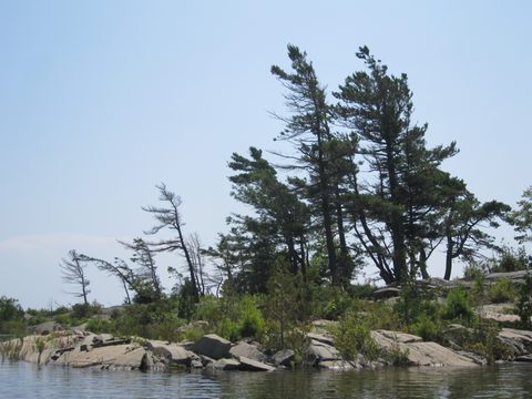 Photo from Kayaking, Franklin, Mink, and McCoy Islands
