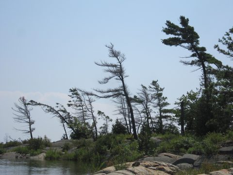 Photo from Kayaking, Franklin, Mink, and McCoy Islands