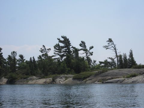 Photo from Kayaking, Franklin, Mink, and McCoy Islands