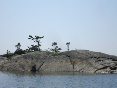 Photo from Kayaking, Franklin, Mink, and McCoy Islands