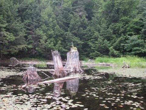 Photo from Algonquin park backcountry canoe camping trip