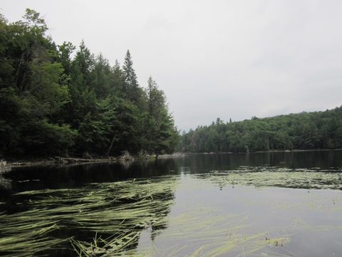 Photo from Algonquin park backcountry canoe camping trip