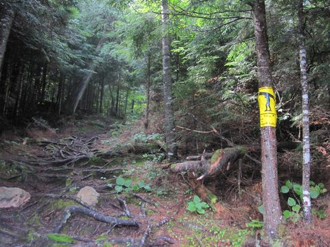 Photo from Algonquin park backcountry canoe camping trip