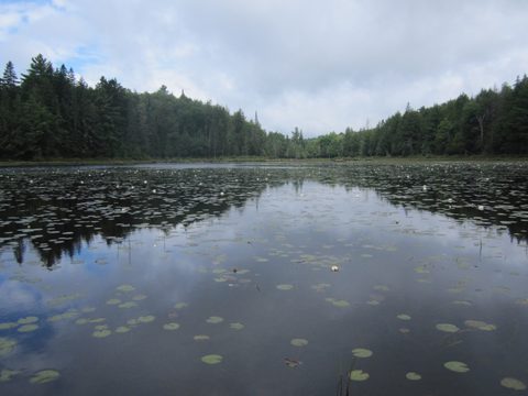 Photo from Algonquin park backcountry canoe camping trip