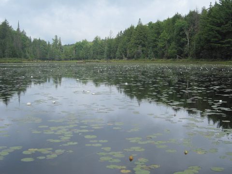 Photo from Algonquin park backcountry canoe camping trip