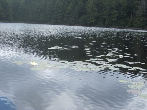 Photo from Algonquin park backcountry canoe camping trip