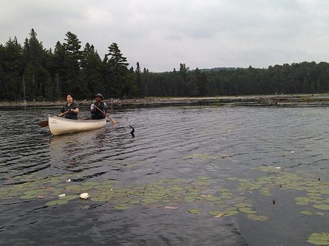 Photo from Algonquin park backcountry canoe camping trip