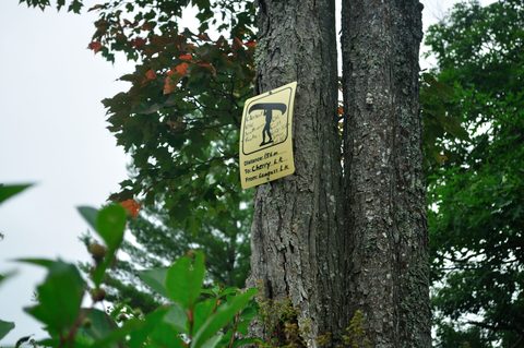 Photo from Kawartha Lakes Photography Weekend