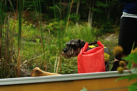 Photo from Kawartha Lakes Photography Weekend