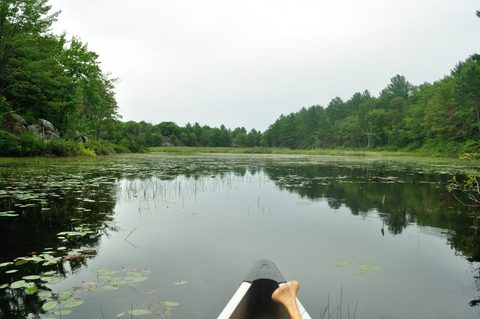Photo from Kawartha Lakes Photography Weekend