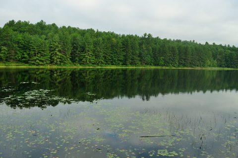 Photo from Kawartha Lakes Photography Weekend