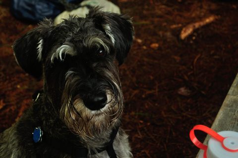 Photo from Kawartha Lakes Photography Weekend