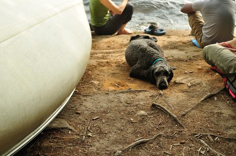 Photo from Algonquin Park backcountry canoe trip- Canoe Lake circuit