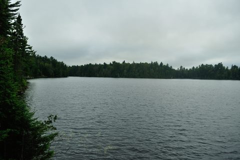 Photo from Algonquin Park backcountry canoe trip- Canoe Lake circuit