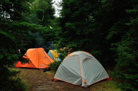 Photo from Algonquin Park backcountry canoe trip- Canoe Lake circuit