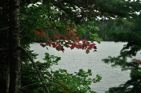 Photo from Algonquin Park backcountry canoe trip- Canoe Lake circuit