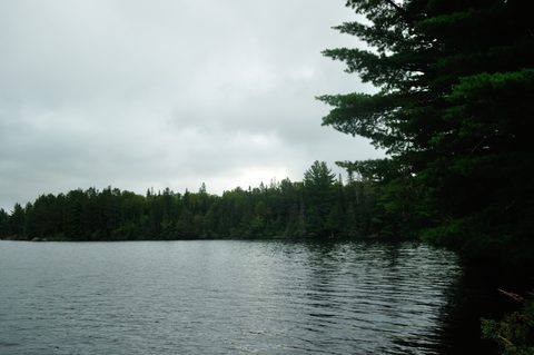 Photo from Algonquin Park backcountry canoe trip- Canoe Lake circuit