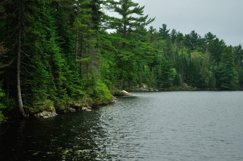 Photo from Algonquin Park backcountry canoe trip- Canoe Lake circuit