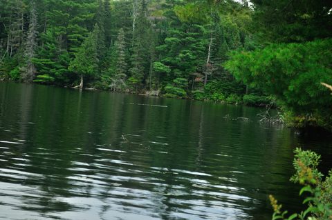 Photo from Algonquin Park backcountry canoe trip- Canoe Lake circuit