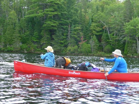 Photo from Algonquin Park backcountry canoe trip- Canoe Lake circuit