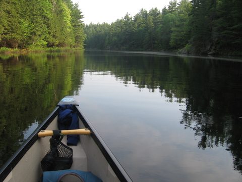 Photo from Canoe camping, Massasauga Provincial Park, June 4-5