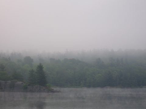 Photo from Canoe camping, Massasauga Provincial Park, June 4-5