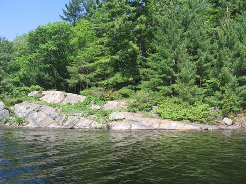 Photo from Canoe camping, Massasauga Provincial Park, June 4-5