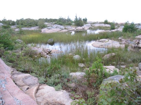 Photo from Kayaking, Key River to Georgian Bay